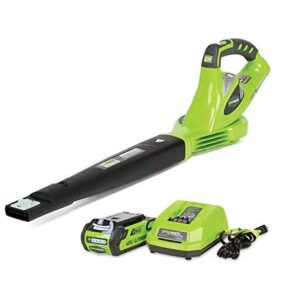 Greenworks 40V 150 MPH Variable Speed Cordless Leaf Blower, 2.0Ah Battery and Charger Included, 24252