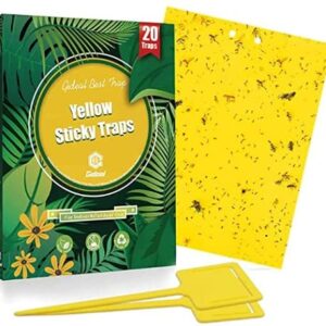 Gideal 20-Pack Dual-Sided Yellow Sticky Traps for Flying Plant Insect Such as Fungus Gnats, Whiteflies, Aphids, Leafminers,Thrips – (6×8 Inches, Included 20pcs Twist Ties)
