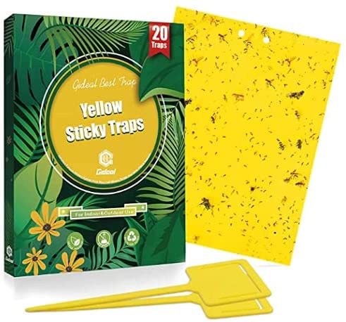 Gideal 20-Pack Dual-Sided Yellow Sticky Traps for Flying Plant Insect Such as Fungus Gnats, Whiteflies, Aphids, Leafminers,Thrips – (6×8 Inches, Included 20pcs Twist Ties)