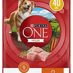 Purina ONE SmartBlend Natural Healthy Weight Formula Adult Dry Dog Food & Wet Dog Food