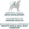 Purina ONE SmartBlend Natural Puppy Dog Food - Image 5