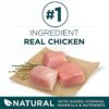 Purina ONE SmartBlend Natural Puppy Dog Food - Image 4