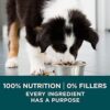 Purina ONE SmartBlend Natural Puppy Dog Food - Image 9