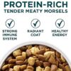 Purina ONE SmartBlend Natural Puppy Dog Food - Image 3