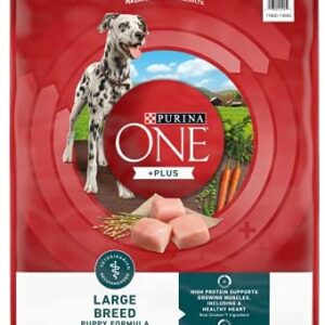 Purina ONE SmartBlend Natural Puppy Dog Food