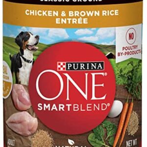 Purina ONE SmartBlend Canned Wet Dog Food