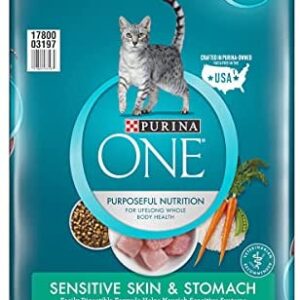Purina ONE Sensitive Systems Adult Dry Cat Food