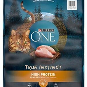Purina ONE Cat Food