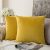 MIULEE Pack of 2, Velvet Soft Solid Decorative Square Throw Pillow Covers Set Cushion Case for Sofa Bedroom Car 18 x 18 Inch 45 x 45 cm